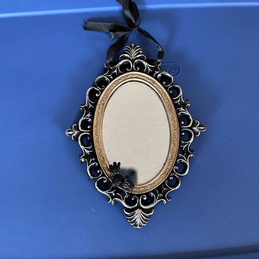 Gothic spider mirror Halloween decor
